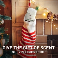 Désodorisant sans aluminium pour hommes, Gars des fêtes édition limitée, fraîcheur des fêtes 24/7, protection contre les odeurs, Lumbersnack, parfum Pin frais, bas de Noël, cadeau des fêtes, parfum saisonnier, 85 g