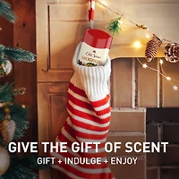 Antisudorifique et désodorisant pour hommes, Gars des fêtes édition limitée, fraîcheur des fêtes 24/7, protection contre la transpiration et odeurs, Snickerdudel, parfum Biscuit au sucre, bas de Noël, cadeau des fêtes, parfum saisonnier, 73 g