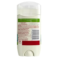 Désodorisant Old Spice Fiji, parfum de palmier, 85 g