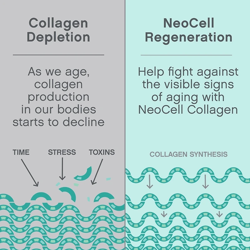 Peptides de Protéines de Collagène