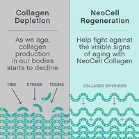 Peptides de Protéines de Collagène