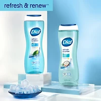 Dial Body Wash Coconut Water TM/MC