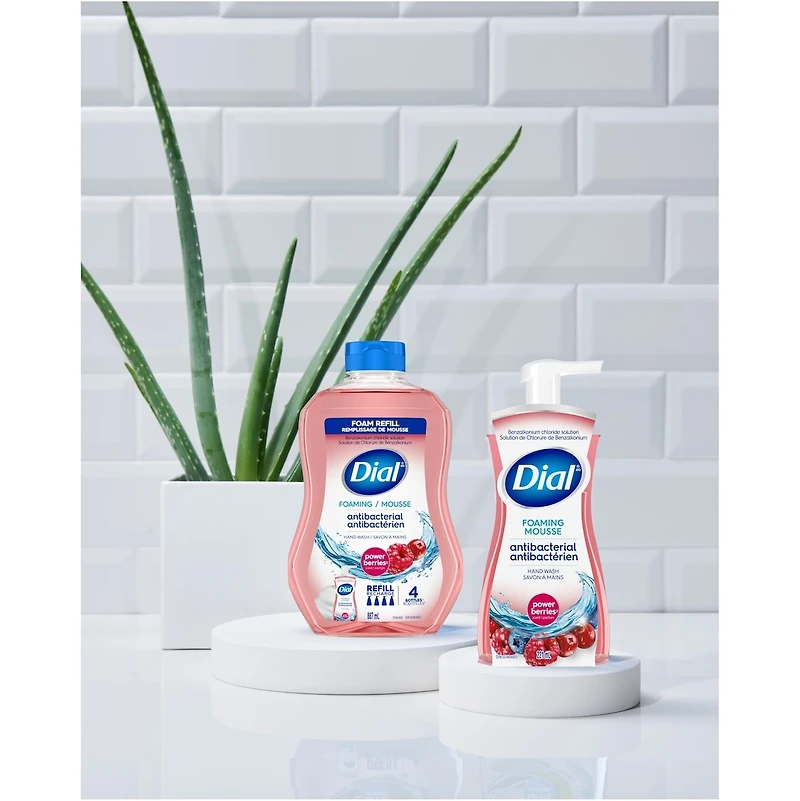 Dial Complete FHW Anti Oxidant Power Berries