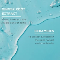 Intensive Moisture Anti-Wrinkle Hydrating Serum