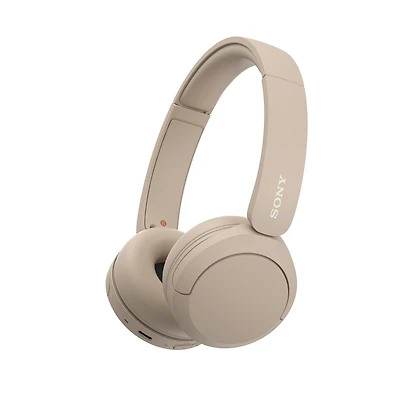 Wh-ch520 Wireless Headphone