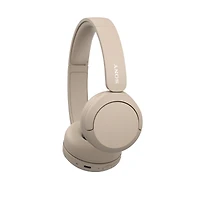 Wh-ch520 Wireless Headphone