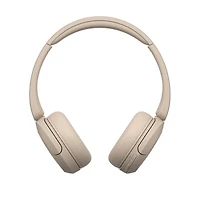 Wh-ch520 Wireless Headphone