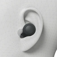 Sony WF-C700N Truly Wireless In-Ear Headphones