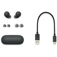 Sony WF-C700N Truly Wireless In-Ear Headphones