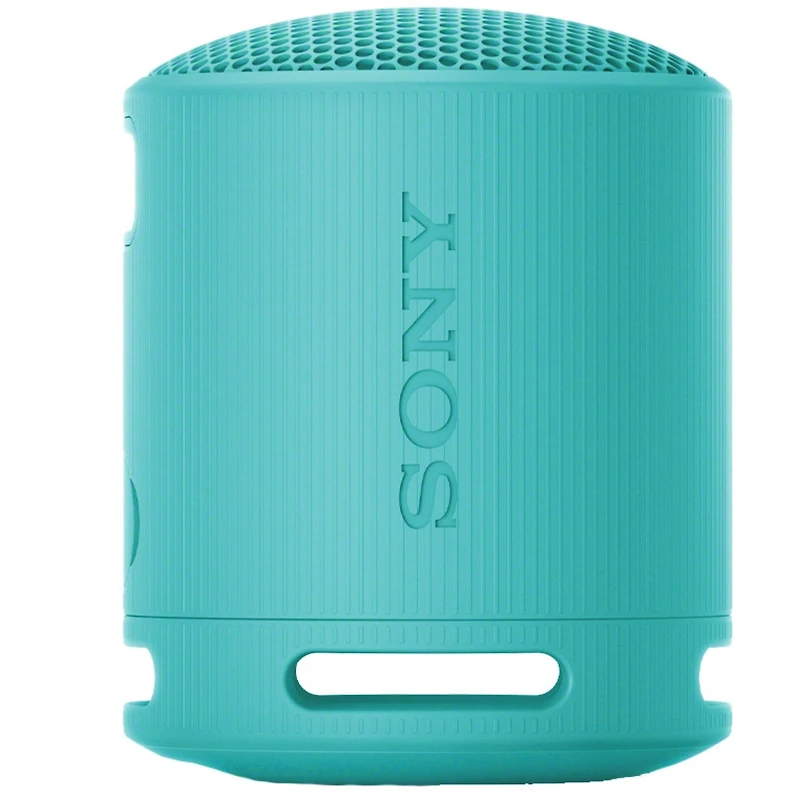 SRSXB100/L Speaker