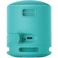 SRSXB100/L Speaker