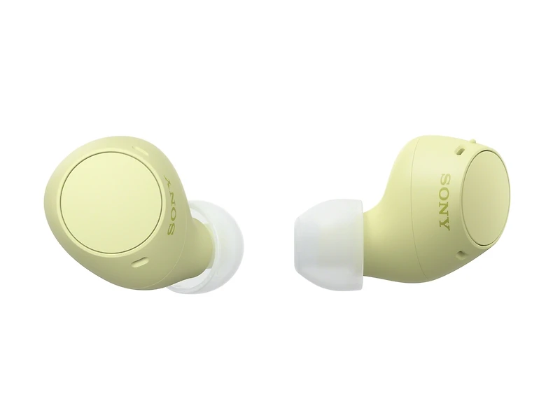 WF-C510 Truly Wireless Earbuds