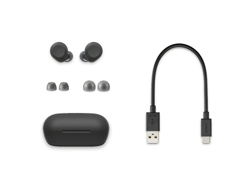 WF-C710N Truly Wireless Noise-Cancelling Earbuds