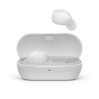 WF-C710N Truly Wireless Noise-Cancelling Earbuds