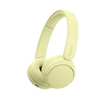 Wh-ch520 Wireless Headphone