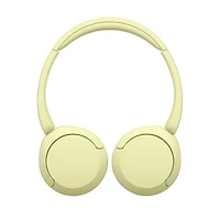 Wh-ch520 Wireless Headphone