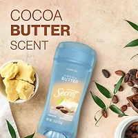 Secret Fresh Clear Gel Cocoa Butter 73g