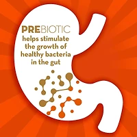 Triple Action Gummies, Prebiotic Supplement, Prebiotic for Women and Men, Helps Relieve Gas, Bloating, and Abdominal Discomfort