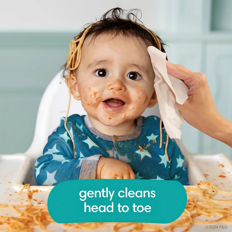 Free & Gentle 100% Plant-Based Fragrance Free Baby Wipes, 1 pack