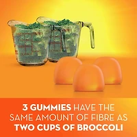 Fibre Gummies, No Sugar Added, Orange Flavour, Prebiotic, Plant-Based, 105 Count