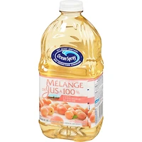 Mélange de jus à 100 % à saveur de canneberge blanche