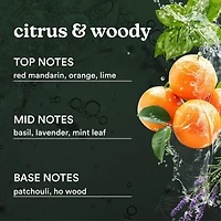 Huile Serenescents Mandarine et Basilic 15ml