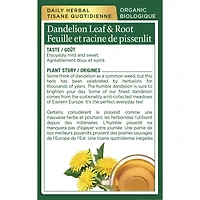 Feuille et racine de pissenlit