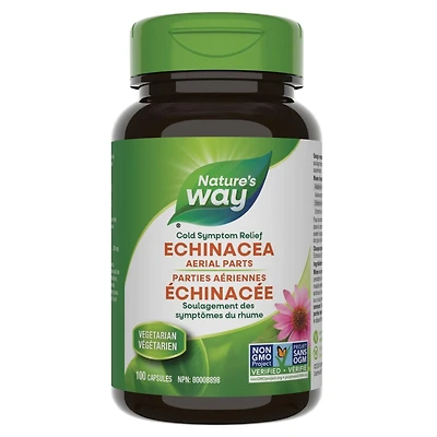 Parties Aeriennes Echinacee