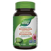 Parties Aeriennes Echinacee