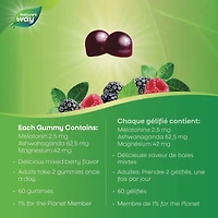 Gélifiés Bien Dormir