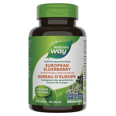 Baies et fleurs de Sureau D'Europe