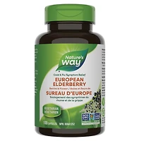 Baies et fleurs de Sureau D'Europe