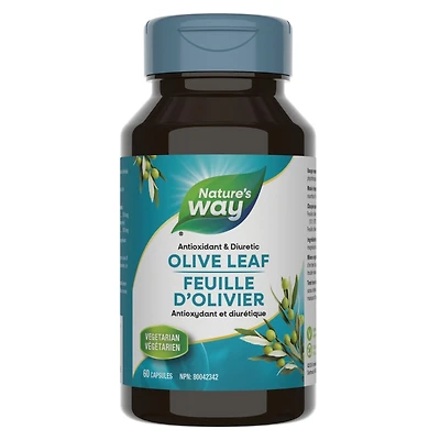 Olive Leaf Standardized Extract