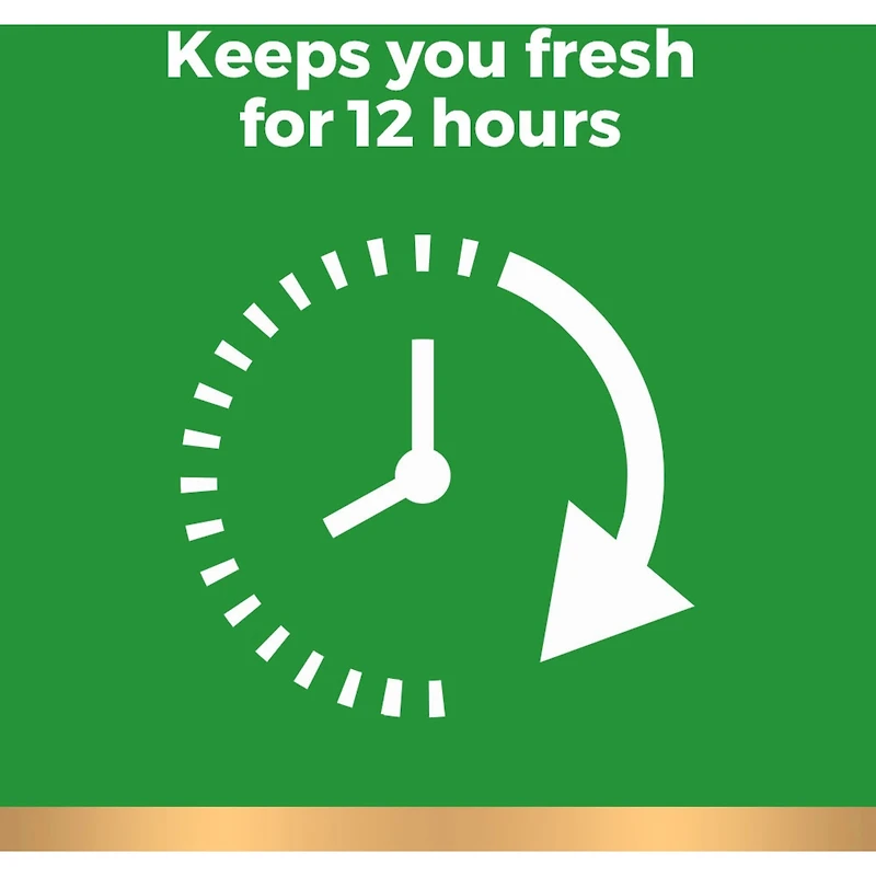 Irish Spring Original Clean Deodorant Bar Soap for Men, 104.7 g, 6 Pack