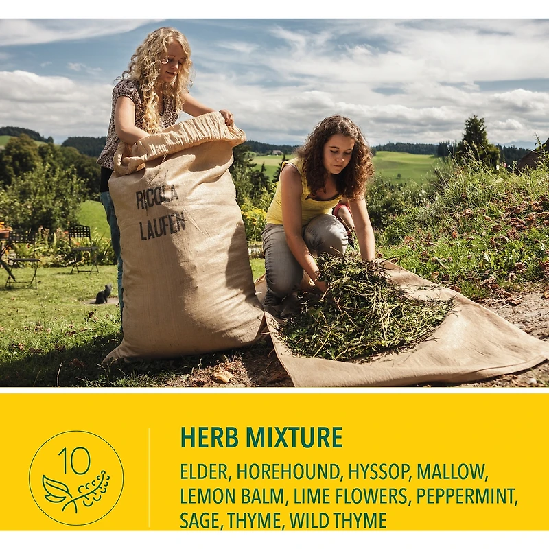 Mountain Herb No Sugar Added Family Bag Cough Suppressant Throat Lozenges
