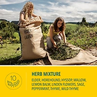 Mountain Herb No Sugar Added Family Bag Cough Suppressant Throat Lozenges