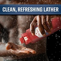 OLD SPICE BODY WASH HAIR