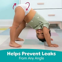 Cruisers 360 Diapers Size