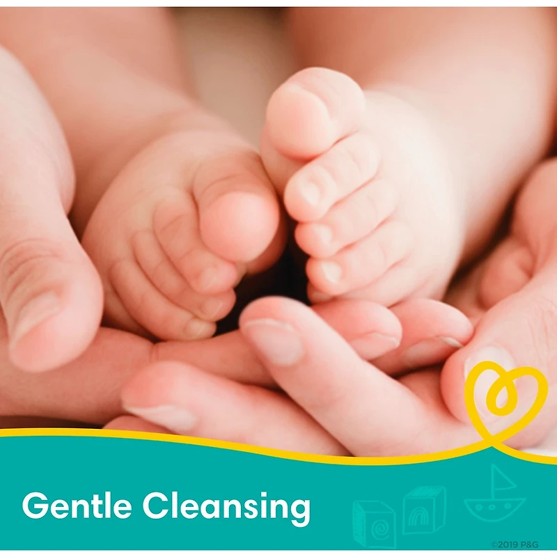 PAMP LNGBB CC PARF 1X ETUI SPL