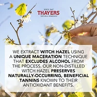 Original Witch Hazel Face Astringent with Aloe Vera