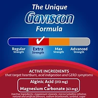Gaviscon Extra-Fort Flavour Blend A Croquer Explosion de Fruits