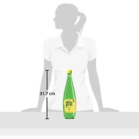 Forever Lemon, Sparkling Water Beverage, Natural Lemon Flavour, No Calories, No Sweeteners, No Sodium, Sourced & Bottled In France