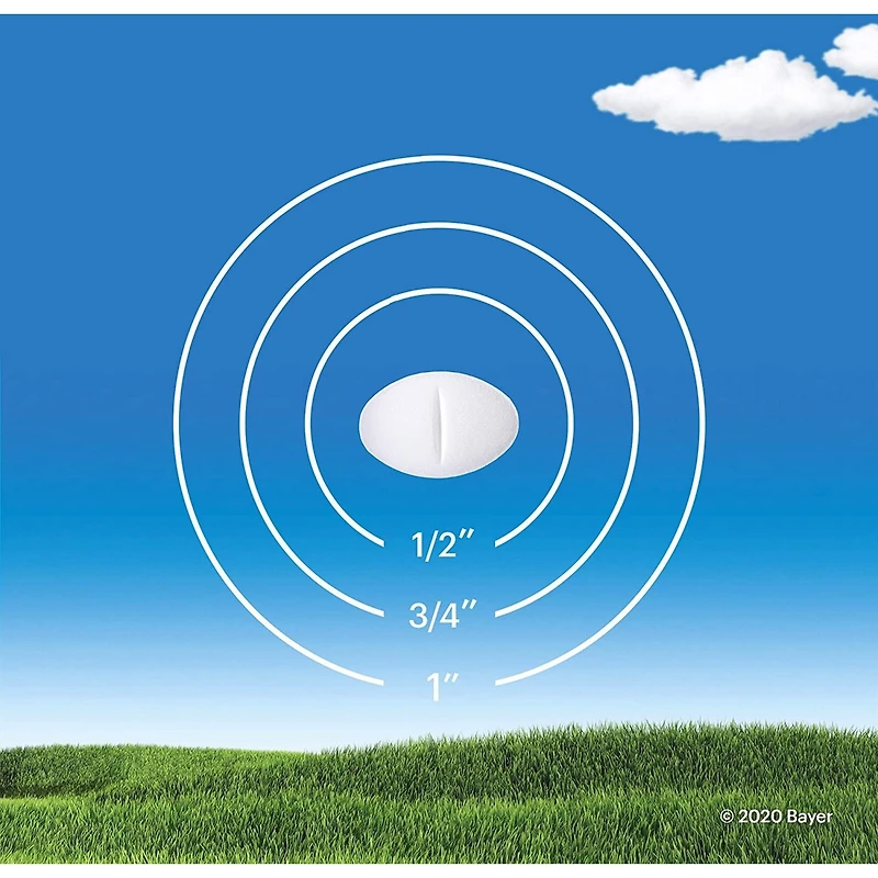 Claritin Allergies, soulagement sans somnolence durant 24 heures, 10 mg, format économique, 85 comprimés