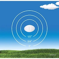 Claritin Allergies, soulagement sans somnolence durant 24 heures, 10 mg, format économique, 85 comprimés