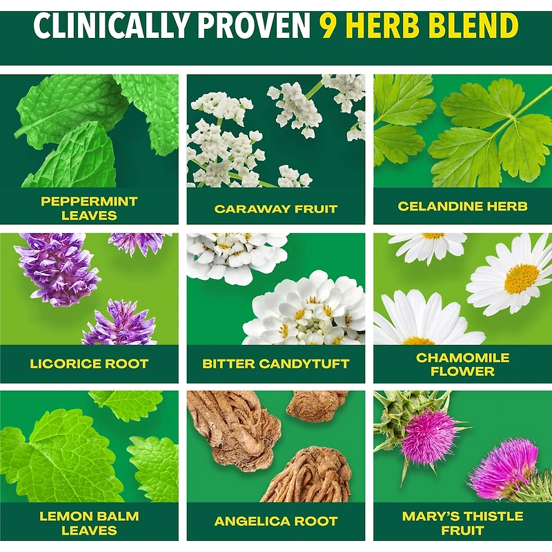 Iberogast Traitement à 9 plantes, soulagement des symptômes liés aux troubles gastro-intestinaux, 100 mL