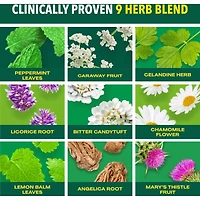Iberogast Traitement à 9 plantes, soulagement des symptômes liés aux troubles gastro-intestinaux, 100 mL