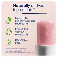 NIVEA Pearly Shine Lip Balm, Tinted lip balm with shea butter & natural oils for 24hr moisture, Pearly pink shine, Lip moisturizer for dry lips, (2 x 4.8g)