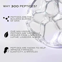 Rénergie H.P.N. 300-Peptide Cream Routine Holiday Set