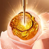 Coffret Absolue La crème fondante