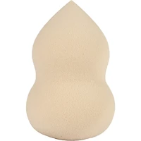 Face and Body Sponge